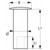 Vollniete für Kopfbretter Alu 3,9x12,5 mm Pack a 100 St, AN12 – Bild 2
