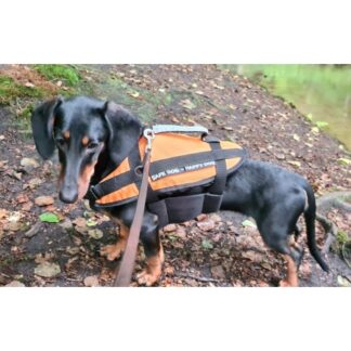 Hundeschwimmhilfe bis 8kg Orange, LX20020